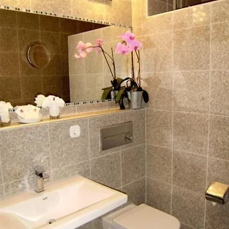 Braeutigam's Weinstuben 3* Ihringen